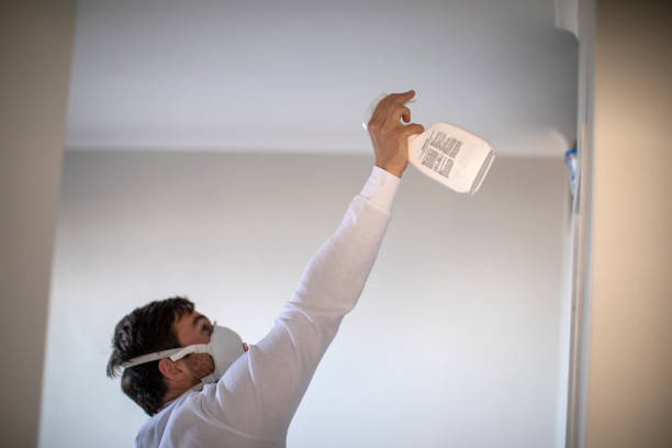 Best Emergency Mold Remediation in Kirtland Af, NM